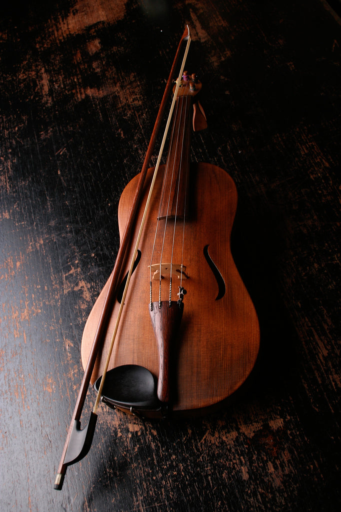 The Fiddler